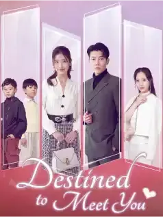 Destined to Meet You