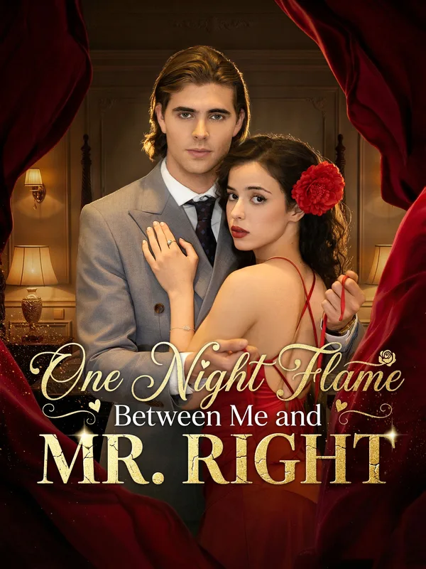 One Night Flame Between Me and Mr. Right